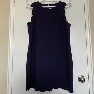 NWT JCrew Navy Scalloped Shift Dress